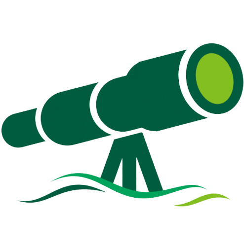 Our Vision